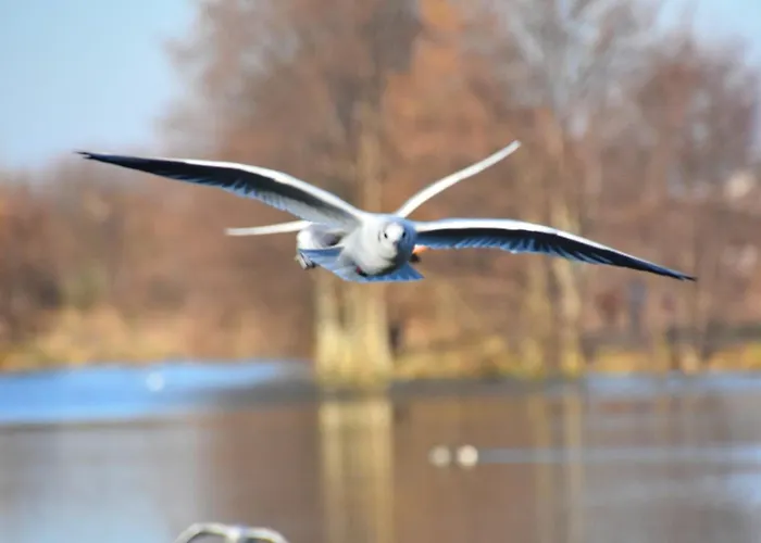 La Terrasse Louvard - Lesparisnormands * 滨海维莱